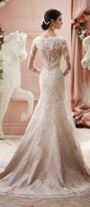 Illusion - Sheer, Lace and Backless, Lace Back, V Back, Back Details Wedding Dress M-1321