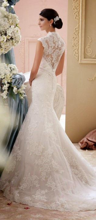 Mermaid, Illusion - Sheer, Lace and Backless, Lace Back, V Back, Back Details Wedding Dress M-1332