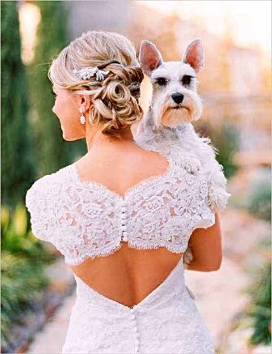 Backless, Lace Back, V Back, Back Details and Lace Wedding Dress M-1804