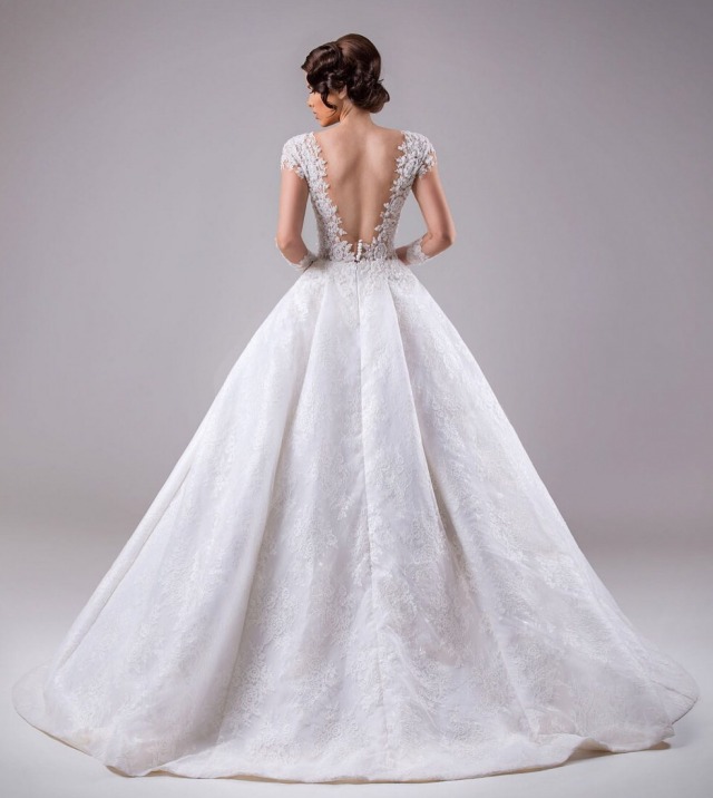 Ball Gown and Backless, Lace Back, V Back, Back Details Wedding Dress M-1865